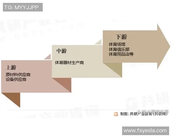 体育产业链深度解析