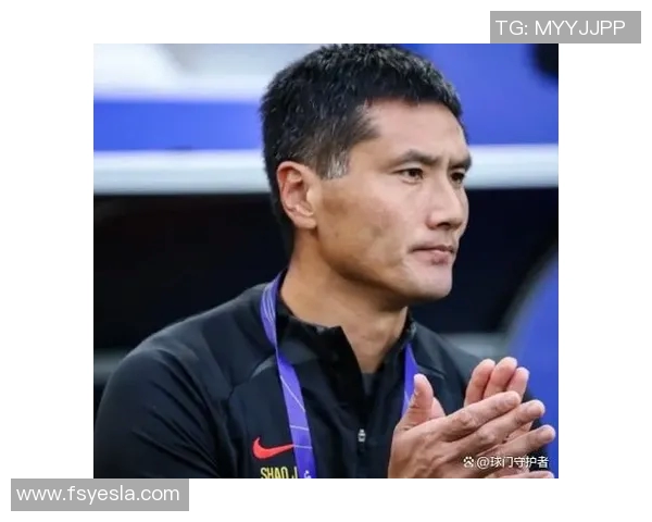 中国主帅谈“归化球员计划”：暂不扩展