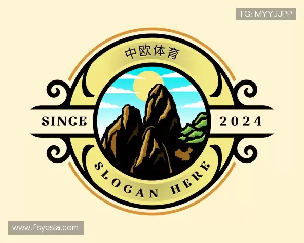 认识zoty中欧